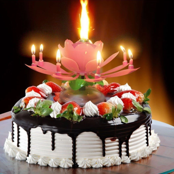 【BUY 2 GET 10%OFF】Magic Flower Birthday Candle