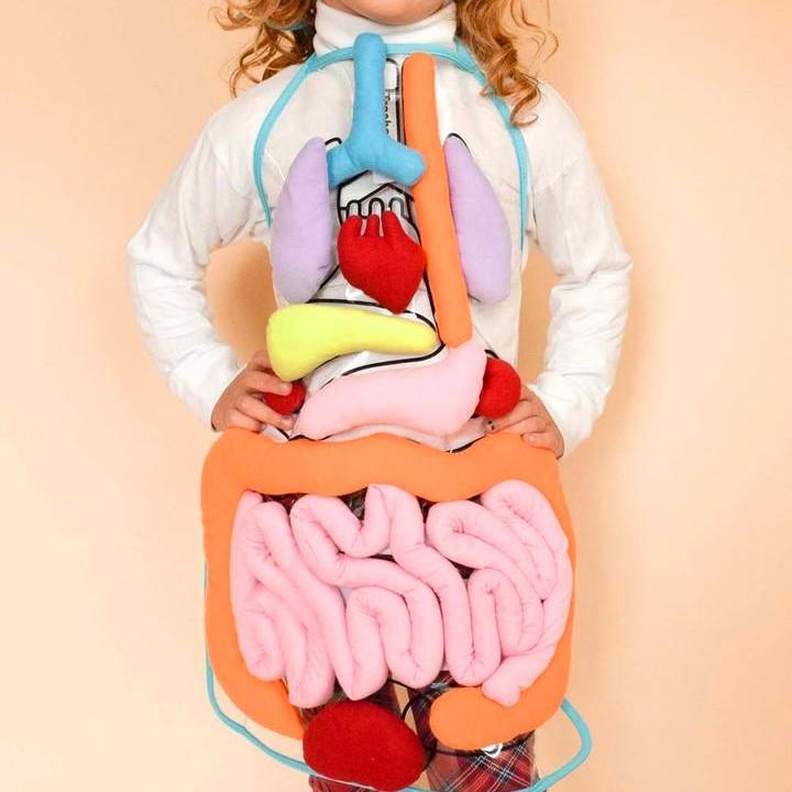 🔥Hot Sale🔥Educational Anatomy Apron🔥