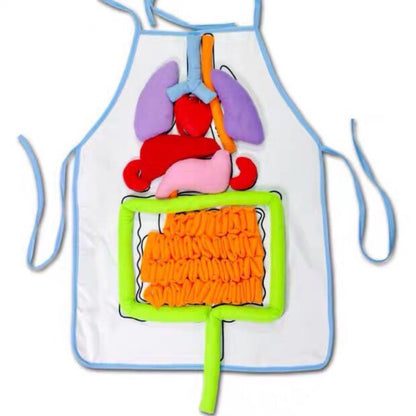 🔥Hot Sale🔥Educational Anatomy Apron🔥