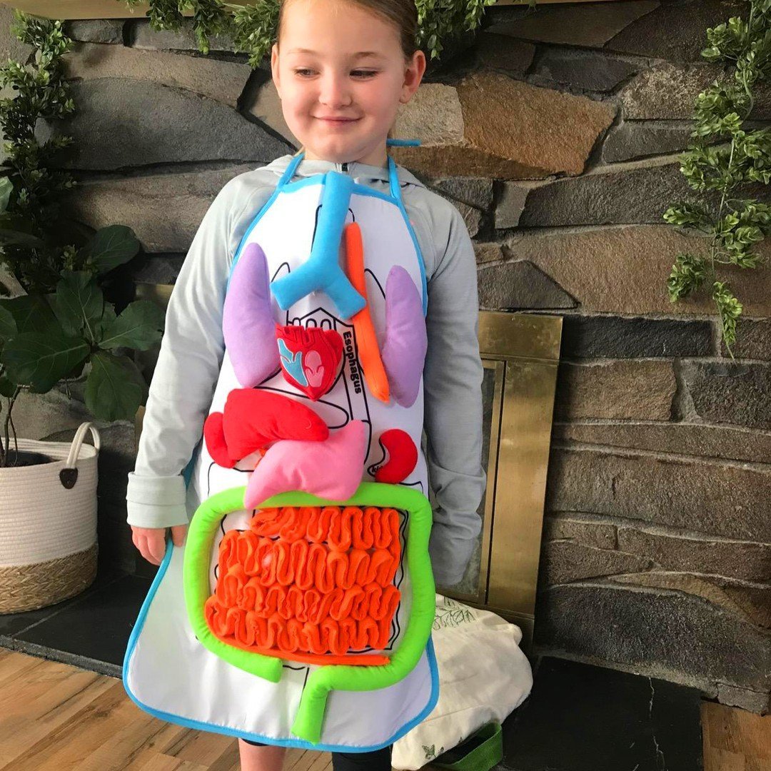 🔥Hot Sale🔥Educational Anatomy Apron🔥