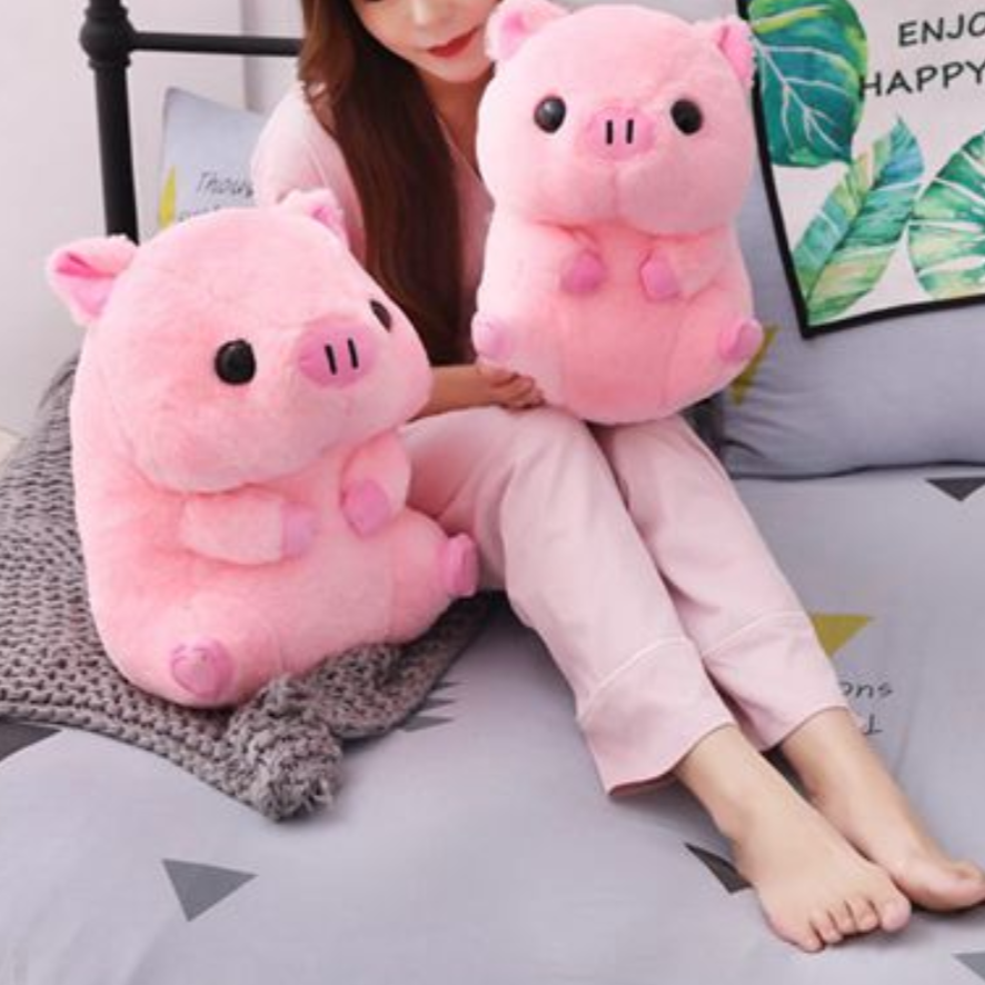 Pink Piggy Plush Toy