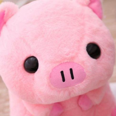 Pink Piggy Plush Toy