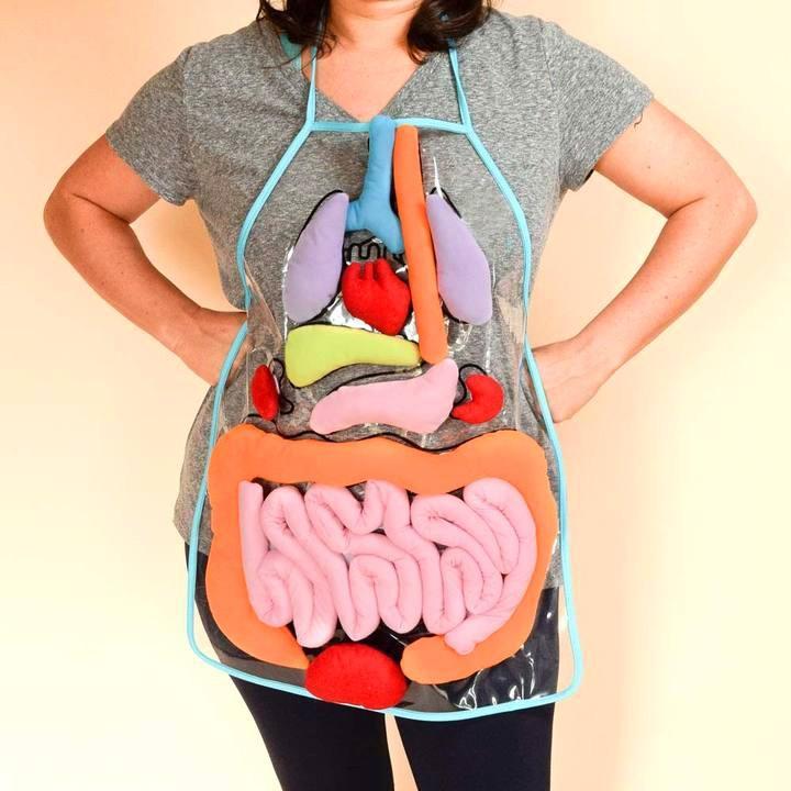 🔥Hot Sale🔥Educational Anatomy Apron🔥