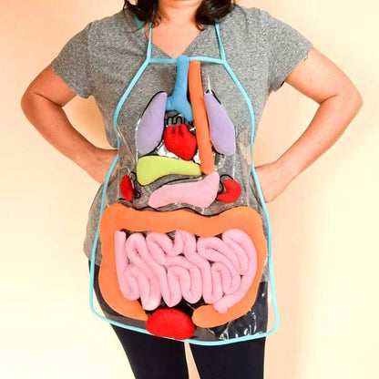 🔥Hot Sale🔥Educational Anatomy Apron🔥