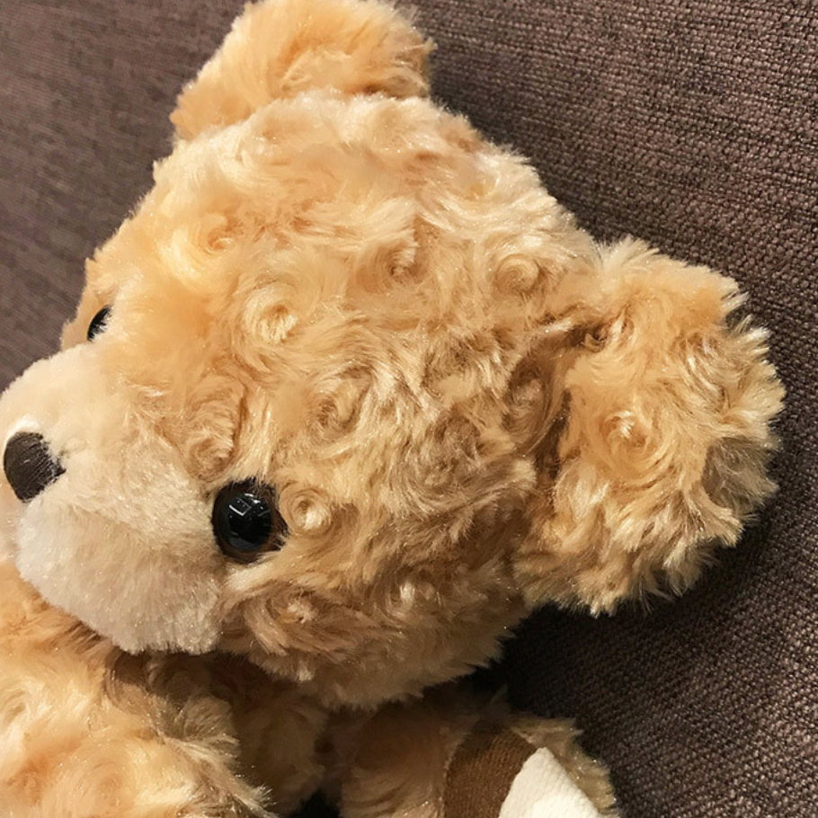 Snuggly Cute Teddy bag