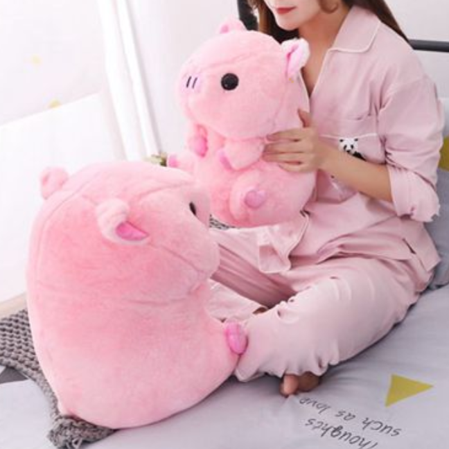 Pink Piggy Plush Toy