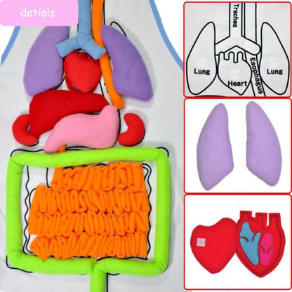 🔥Hot Sale🔥Educational Anatomy Apron🔥
